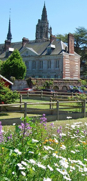 biodiversité à Caudebec