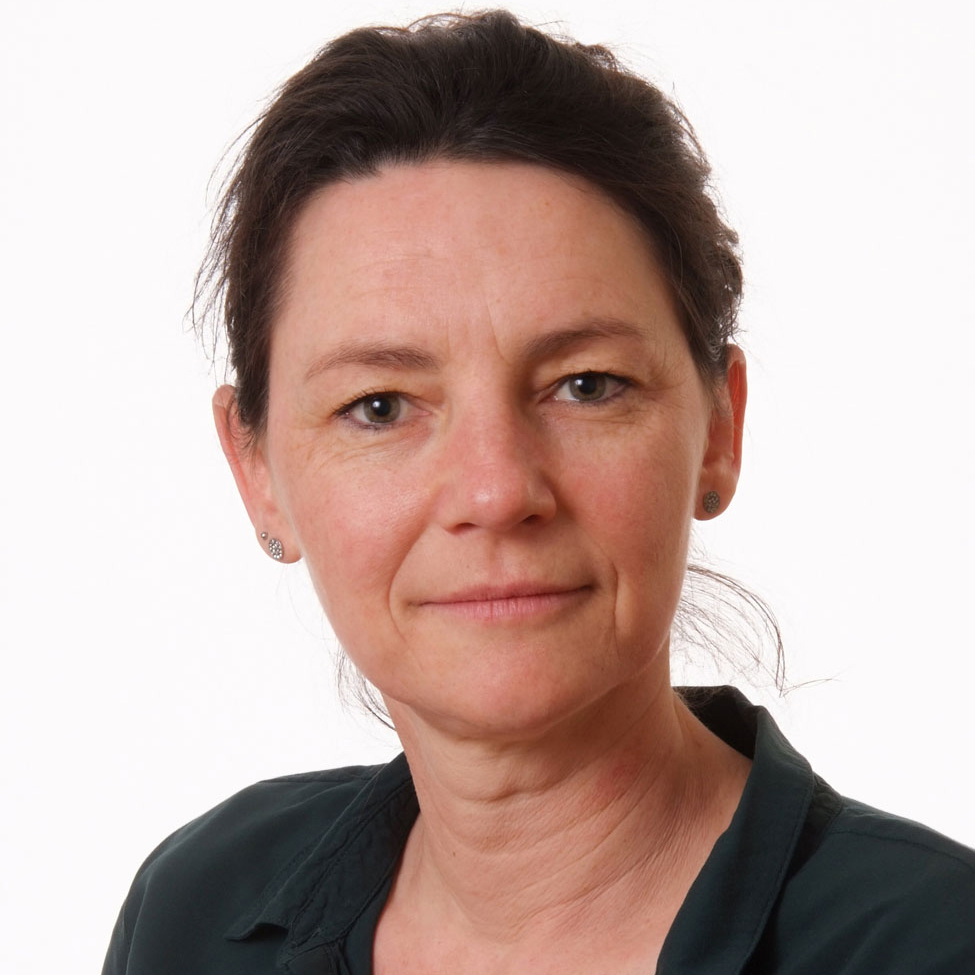 https://www.rives-en-seine.fr/wp-content/uploads/2025/01/aurore.jpg